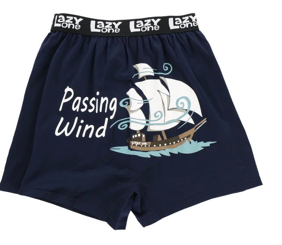 Passing Wind Blue Men's Funny Boxer
